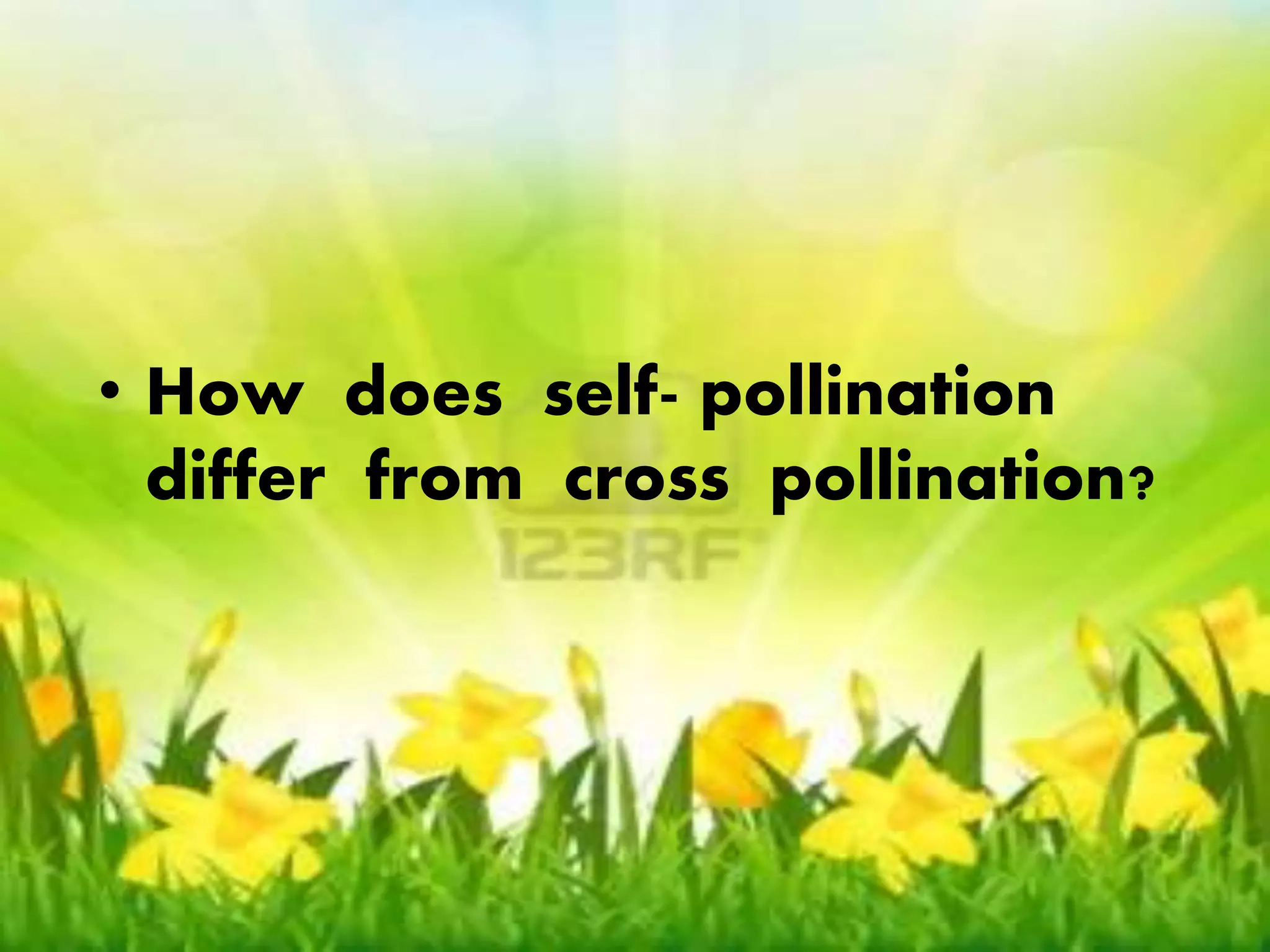 • How does self- pollination 
differ from cross pollination? 
• How does self- pollination 
differ from cross pollination? 
 
