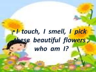 • I touch, I smell, I pick these 
beautiful flowers , who am I? 
• I touch, I smell, I pick 
these beautiful flowers , 
who am I? 
 