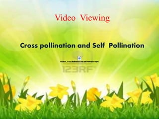 Video Viewing 
Video Viewing 
Cross pollination and Self Pollination 
Cross pollination and Self Pollination 
 
