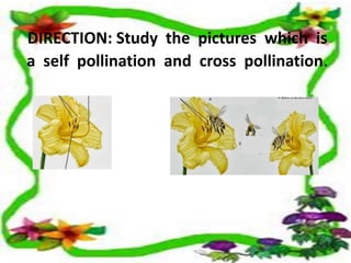 DIRECTION: Study the pictures which is 
a self pollination and cross pollination. 
 