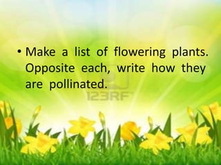 • Make a list of flowering plants. 
Opposite each, write how they 
are pollinated. 
• Make a list of flowering plants. 
Opposite each, write how they 
are pollinated. 
 