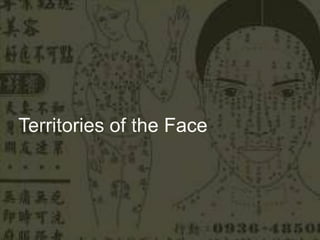Territories of the Face  