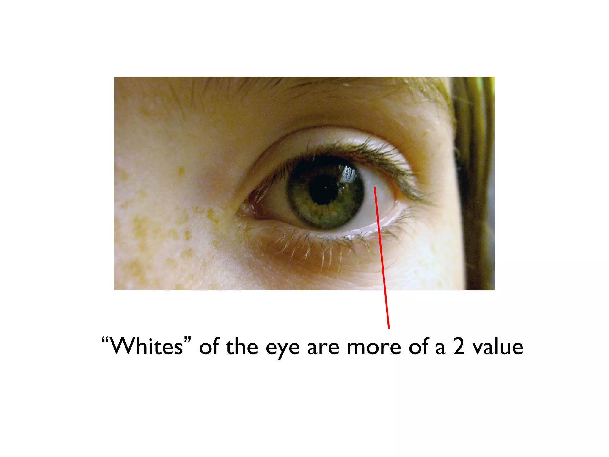 “Whites” of the eye are more of a 2 value
 
