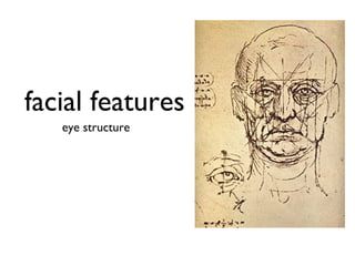 facial features
   eye structure
 