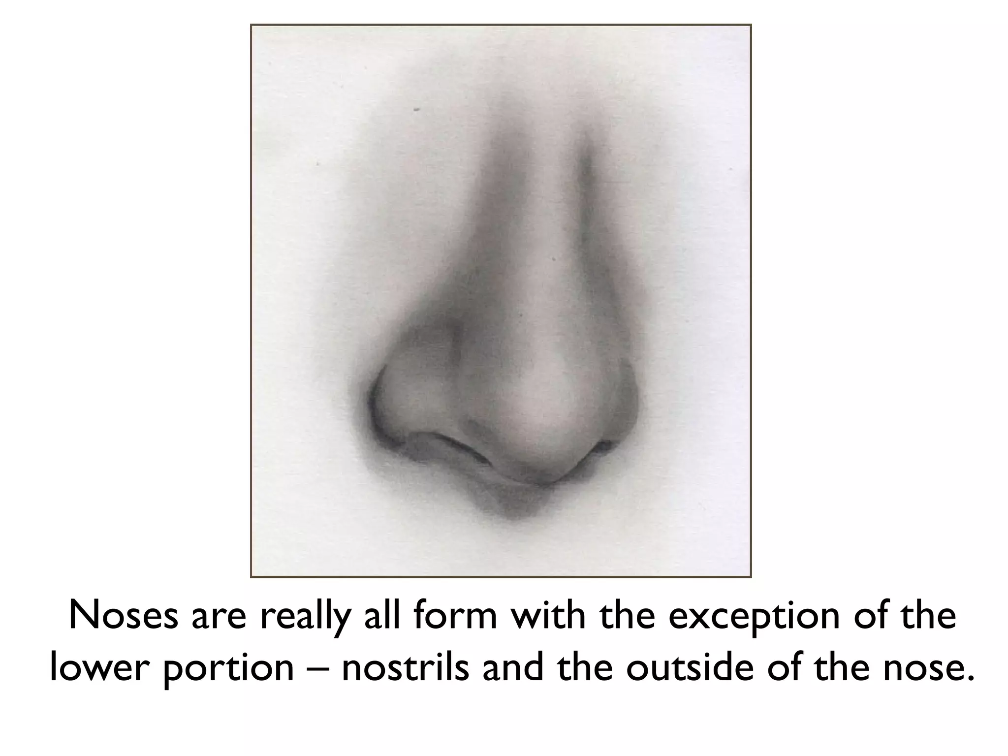 Noses are really all form with the exception of the
lower portion – nostrils and the outside of the nose.
 