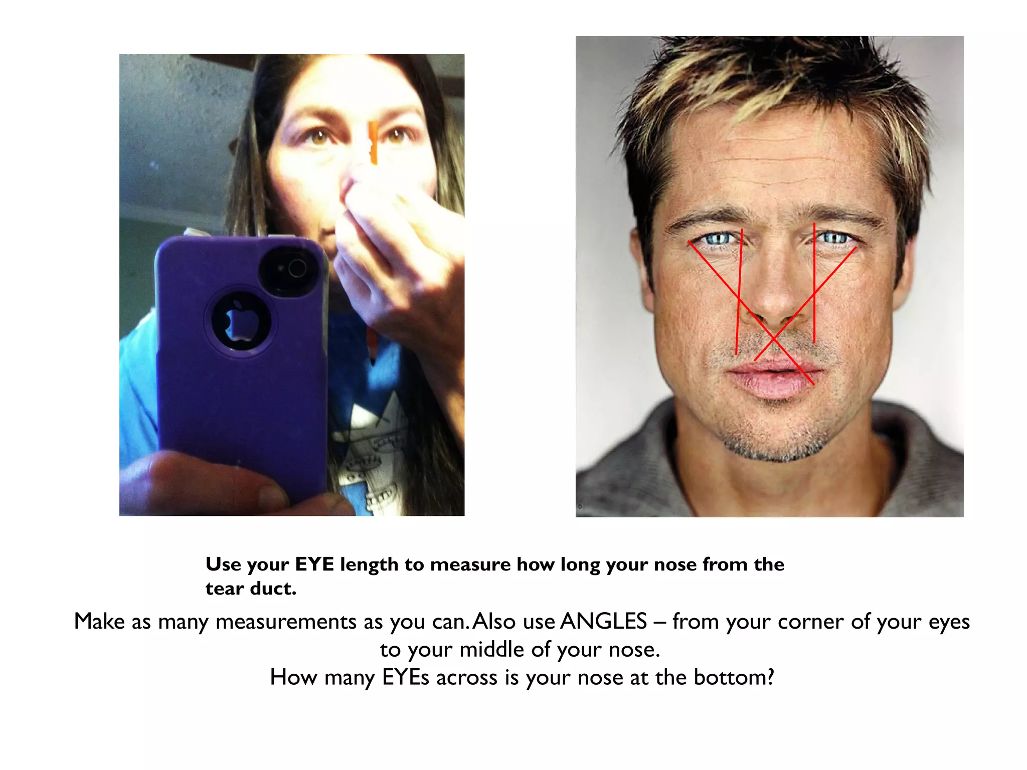 Use your EYE length to measure how long your nose from the
            tear duct.
Make as many measurements as you can. Also use ANGLES – from your corner of your eyes
                            to your middle of your nose.
                 How many EYEs across is your nose at the bottom?
 