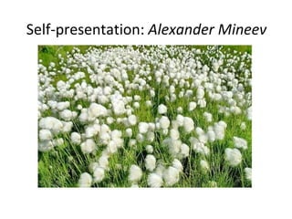 Self-presentation:  Alexander Mineev 