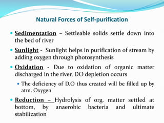 Self Purification SELF-PURIFICATION OF STREAMS.pdf