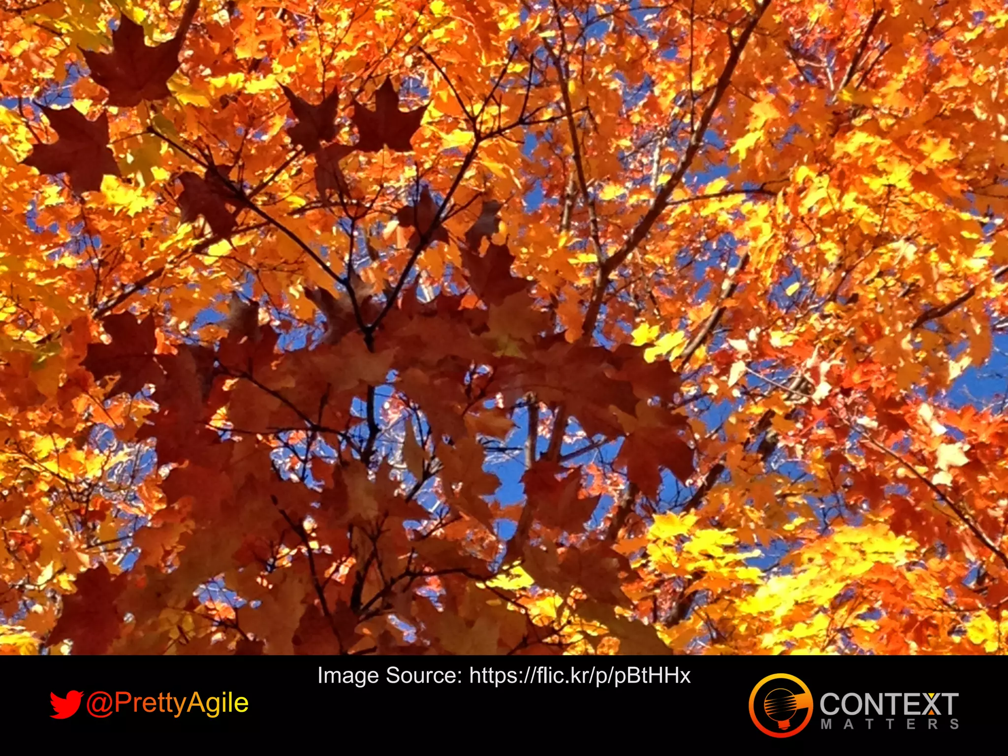 Round 3
Image Source: https://flic.kr/p/pBtHHx
 