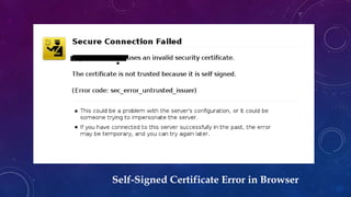 Self-Signed Certificate Error in Browser
 