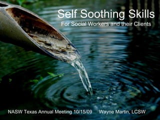 Self Soothing SkillsFor Social Workers and their Clients NASW Texas Annual Meeting 10/15/09     Wayne Martin, LCSW 