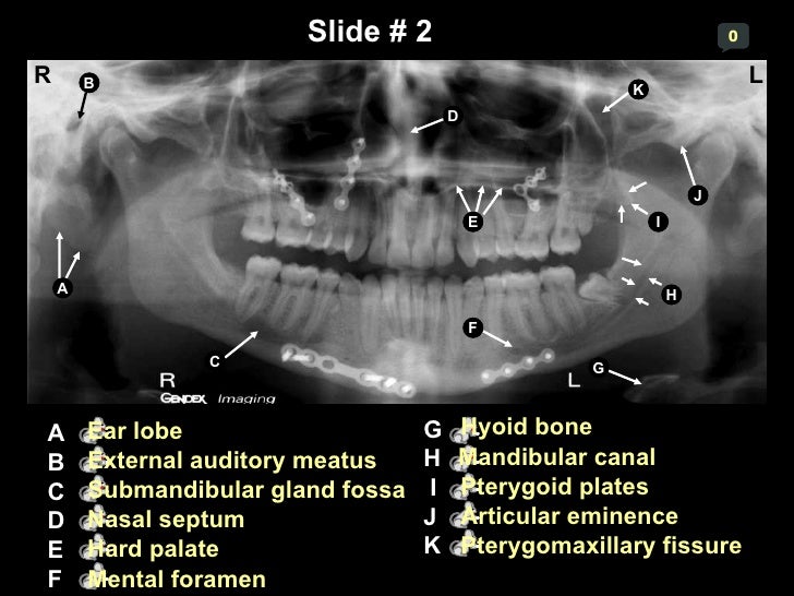 Self study-pan-anatomy