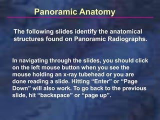 Panoramic Anatomy

The following slides identify the anatomical
structures found on Panoramic Radiographs.


In navigating through the slides, you should click
on the left mouse button when you see the
mouse holding an x-ray tubehead or you are
done reading a slide. Hitting “Enter” or “Page
Down” will also work. To go back to the previous
slide, hit “backspace” or “page up”.
 