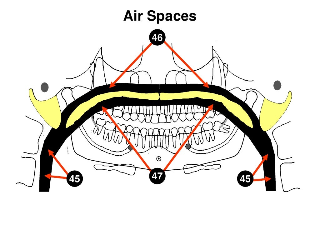 Self studypananatomy