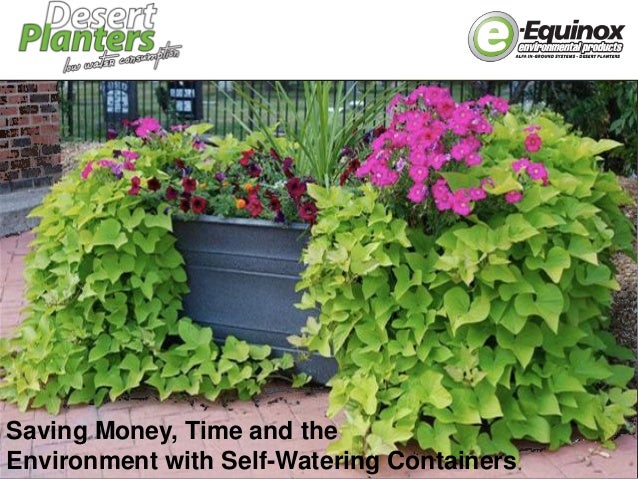 Self Watering Planters Saving Time And Money And The Environment
