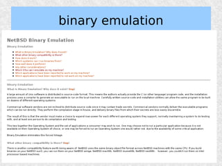 binary emulation
 
