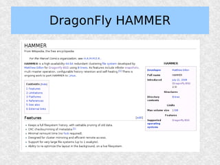 DragonFly HAMMER
 