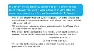 In a recent investigation by Siqueira et al, 44 single-rooted
teeth with oval root canals were analyzed in vitro after the
main canal spaces were first contaminated with E. faecalis.
•After the use of rotary files with syringe irrigation, 55% of the samples had
positive bacterial cultures whereas those canals cleaned and shaped with SAF
Endo System had only
•20% positive canal cultures remaining, again reinforcing the efficacy of the
SAF Endo System over rotary files.
•If the area of dentine contacted is more with SAF which could result in an
increased volume of infected dentine removed from the root canal walls.
• Solomonov et al. 2012
• De Melo Ribeiro et al. 2013
•This infected dentine is suspended in the irrigant thus increasing the
quantum of planktonic bacteria.
 