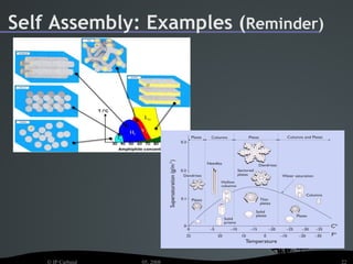 Self Assembly