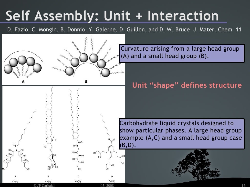 Self Assembly