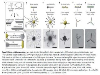 Self assembly of dna | PPTX