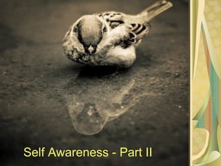 Self Awareness - Part II 
