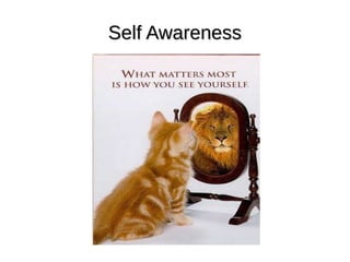 Self AwarenessSelf Awareness
 