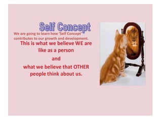 Self concept  concept and significant in organizational communication