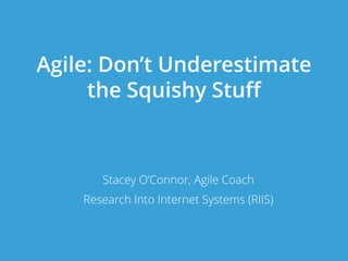 Agile: Don’t Underestimate
the Squishy Stuff
Stacey O’Connor, Agile Coach
Research Into Internet Systems (RIIS)
 