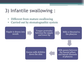 3) Infantile swallowing :
Nipple is drawn into
mouth
Tongue protrudes
between the nipple
and lower lip
Milk is Directed to
the pharynx
Milk passes between
the faucial pillars
and lateral channels
of pharynx
Excess milk dribbles
down the chin
• Different from mature swallowing
• Carried out by stomatognathic system
 