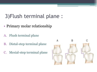 3)Flush terminal plane :
• Primary molar relationship
A. Flush terminal plane
B. Distal-step terminal plane
C. Mesial-step terminal plane
 