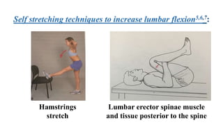 Self stretching techniques to increase lumbar flexion5,6
Hamstrings
stretch
Lumbar erector spinae muscle
and tissue posterior to the spine
 