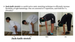  Jack-knife stretch is a useful active static stretching technique to efficiently increase
flexibility of tight hamstrings. One set consisted of 5 repetitions, each held for 5 s.
(4weeks).6
Jack-knife stretch
 