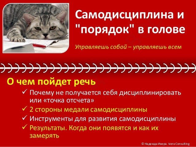 Самодисциплина и "порядок" в голове