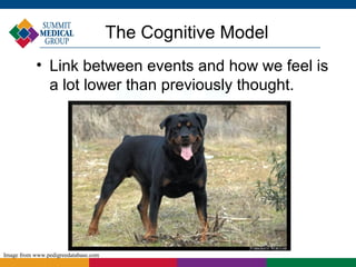 The Cognitive Model
           • Link between events and how we feel is
             a lot lower than previously thought.




Image from www.pedigreedatabase.com
 