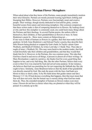 Puritan Flower Metaphors
When asked about what they know of the Puritans, many people immediately mention
their strict lifestyles. Puritans are mostly pictured wearing rigid black clothing and
thumping their Bibles. However, Puritans were fascinatingly smart and creative
people. Their writings, though mostly dedicated to God and his glory, contain
beautiful scenes from nature and interesting metaphors. One common comparison
that these writers make is that of comparing themselves to flowers. By looking closer
at why and how this metaphor is commonly used, one could learn many things about
the Puritans and their theology. In several Puritan poems, the authors refer to
themselves, their children, or their grandchildren as flowers or trees. In Anne
Bradstreet s poem In... Show more content on Helpwriting.net ...
If one were to think of humans as flowers in a garden, then that must make God the
gardener. In both Anne Bradstreet s and Edward Taylor s poetry, they describe their
little flowers being plucked or cropped by God s hand. In Taylor s poem Upon
Wedlock, and Death of Children, he writes Lord take t. I thank Thee. Thou take st
ought of mine: ( Wedlock 28). This may seem harsh to the modern reader, that God
would forcefully take their children and grandchildren, and that they would then
thank him for it. However, to the Puritans, this was common sense. This idea that
God has a hand in and moves all things, it present in almost all of their writings. In
Mary Rowlandson s captivity narrative, she thanks God for every good thing that
happens to her, and every bad thing. She, like the other Puritans, believe that every
event in their lives was enacted by God and served some purpose. In her instance,
she believes that God was punishing her for not respecting the Sabbath day like she
ought to have. Similarly, Anne Bradstreet believes that the death of her grandchild
was directly enacted by God. She ends the poem with the lines And buds new
blown to have so short a date,/ Is by His hand alone that guides nature and fate (
Memory I 13 14). If God decrees everything that happens, then that must mean that
free will does not exist, that the human race is merely doing what God has made
them do. Thus, the extended metaphor of humans as flowers makes even more
sense. Flowers do not have a choice where they are planted or when they will be
picked. It is entirely up to the
 