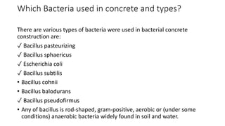 Which Bacteria used in concrete and types?
There are various types of bacteria were used in bacterial concrete
construction are:
✓ Bacillus pasteurizing
✓ Bacillus sphaericus
✓ Escherichia coli
✓ Bacillus subtilis
• Bacillus cohnii
• Bacillus balodurans
✓ Bacillus pseudofirmus
• Any of bacillus is rod-shaped, gram-positive, aerobic or (under some
conditions) anaerobic bacteria widely found in soil and water.
 