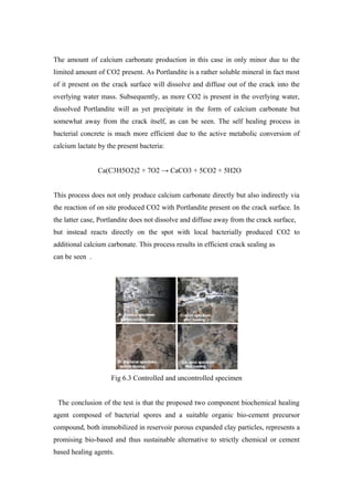 The amount of calcium carbonate production in this case in only minor due to the
limited amount of CO2 present. As Portlandite is a rather soluble mineral in fact most
of it present on the crack surface will dissolve and diffuse out of the crack into the
overlying water mass. Subsequently, as more CO2 is present in the overlying water,
dissolved Portlandite will as yet precipitate in the form of calcium carbonate but
somewhat away from the crack itself, as can be seen. The self healing process in
bacterial concrete is much more efficient due to the active metabolic conversion of
calcium lactate by the present bacteria:
Ca(C3H5O2)2 + 7O2 → CaCO3 + 5CO2 + 5H2O
This process does not only produce calcium carbonate directly but also indirectly via
the reaction of on site produced CO2 with Portlandite present on the crack surface. In
the latter case, Portlandite does not dissolve and diffuse away from the crack surface,
but instead reacts directly on the spot with local bacterially produced CO2 to
additional calcium carbonate. This process results in efficient crack sealing as
can be seen .
Fig 6.3 Controlled and uncontrolled specimen
The conclusion of the test is that the proposed two component biochemical healing
agent composed of bacterial spores and a suitable organic bio-cement precursor
compound, both immobilized in reservoir porous expanded clay particles, represents a
promising bio-based and thus sustainable alternative to strictly chemical or cement
based healing agents.
 