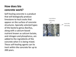 How does bio
concrete work?
Self-healing concrete is a product
that will biologically produce
limestone to heal cracks that
appear on the surface of concrete
structures. Specially selected types
of the bacteria genus Bacillus,
along with a calcium-based
nutrient known as calcium lactate,
and nitrogen and phosphorus, are
added to the ingredients of the
concrete when it is being mixed.
These self-healing agents can lie
Inert within the concrete for up to
200 years.
 