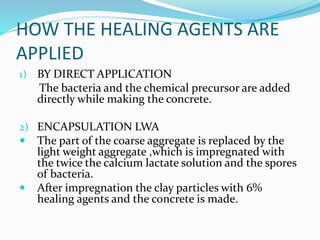 HOW THE HEALING AGENTS ARE
APPLIED
1) BY DIRECT APPLICATION
The bacteria and the chemical precursor are added
directly while making the concrete.
2) ENCAPSULATION LWA
 The part of the coarse aggregate is replaced by the
light weight aggregate ,which is impregnated with
the twice the calcium lactate solution and the spores
of bacteria.
 After impregnation the clay particles with 6%
healing agents and the concrete is made.
 