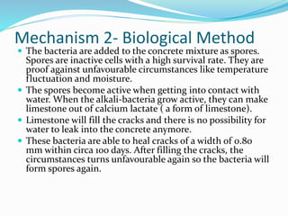 Mechanism 2- Biological Method
 The bacteria are added to the concrete mixture as spores.
Spores are inactive cells with a high survival rate. They are
proof against unfavourable circumstances like temperature
fluctuation and moisture.
 The spores become active when getting into contact with
water. When the alkali‐bacteria grow active, they can make
limestone out of calcium lactate ( a form of limestone).
 Limestone will fill the cracks and there is no possibility for
water to leak into the concrete anymore.
 These bacteria are able to heal cracks of a width of 0.80
mm within circa 100 days. After filling the cracks, the
circumstances turns unfavourable again so the bacteria will
form spores again.
 