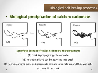 Self healing concrete - A Seminar by Manaruchi Mohapatra | PPTX