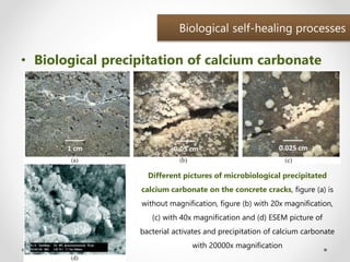 Self healing concrete - A Seminar by Manaruchi Mohapatra | PPTX