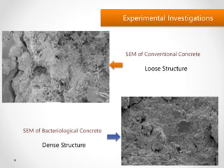 Self healing concrete - A Seminar by Manaruchi Mohapatra | PPTX