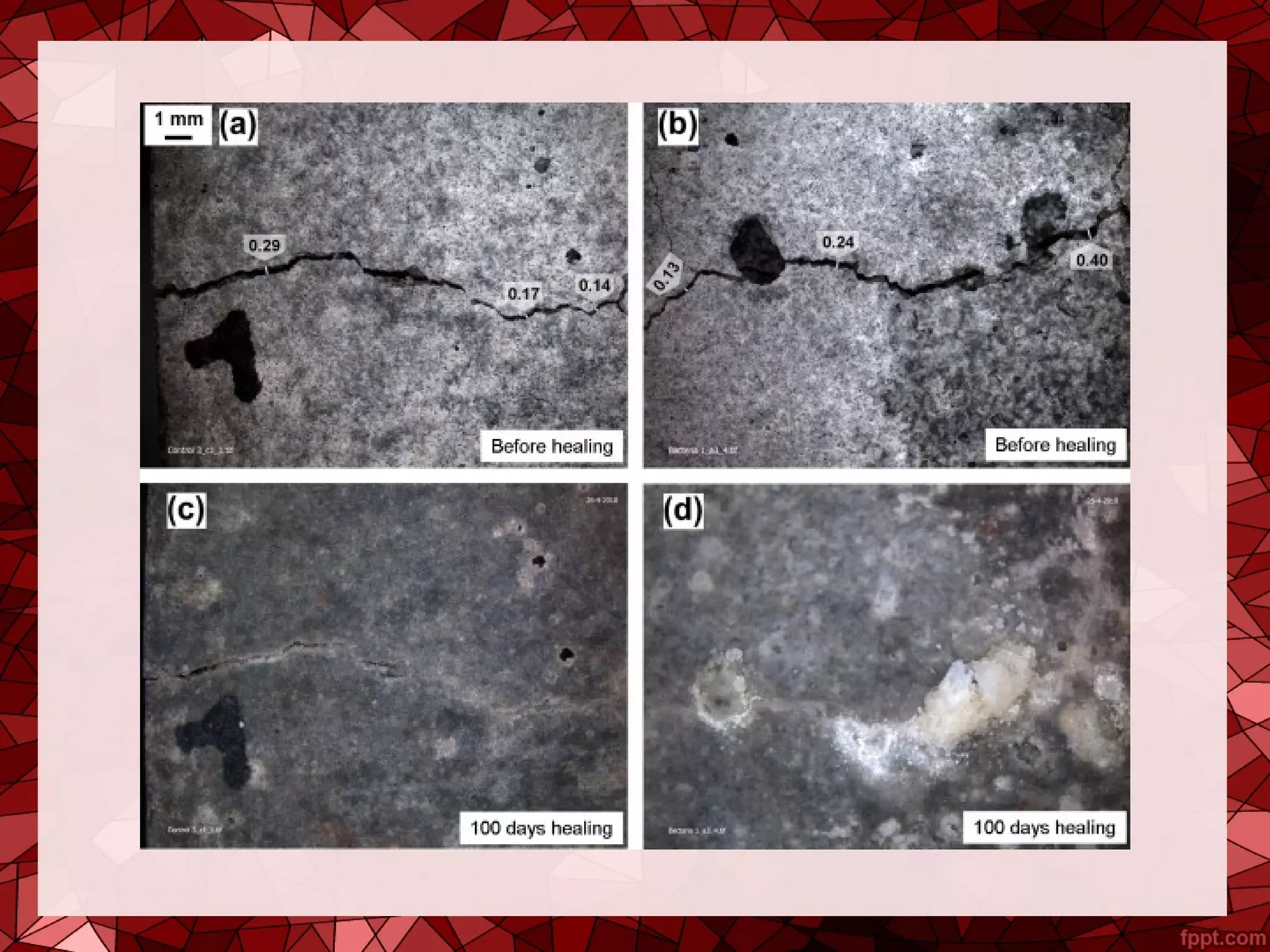Self healing concrete | PPT
