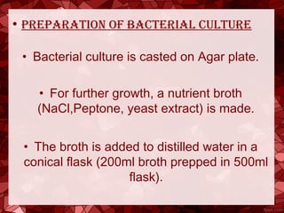 • PreParation of Bacterial culture
• Bacterial culture is casted on Agar plate.
• For further growth, a nutrient broth
(NaCl,Peptone, yeast extract) is made.
• The broth is added to distilled water in a
conical flask (200ml broth prepped in 500ml
flask).
 