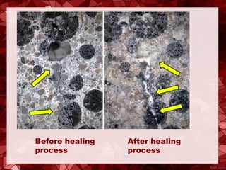 Before healing
process
After healing
process
 