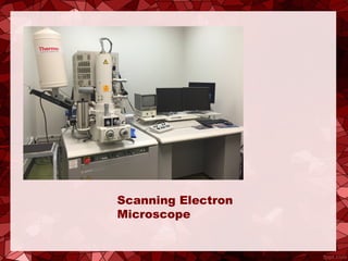 Scanning Electron
Microscope
 