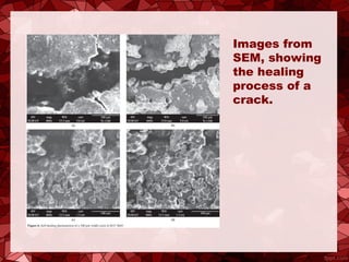 Images from
SEM, showing
the healing
process of a
crack.
 