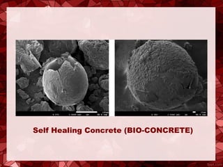 Self Healing Concrete (BIO-CONCRETE)
 